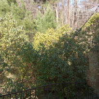 фото из отзыва ID 1918958