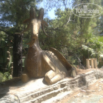 фото из отзыва ID 1918966