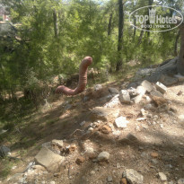 фото из отзыва ID 1918966