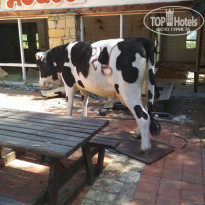 фото из отзыва ID 1918966