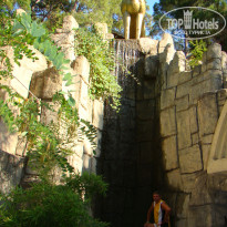 фото из отзыва ID 1918966