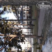 фото из отзыва ID 1918992