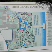 фото из отзыва ID 1919000