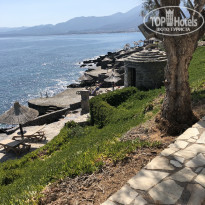 фото из отзыва ID 1919009