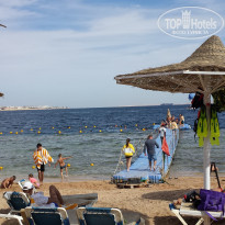 фото из отзыва ID 1919094