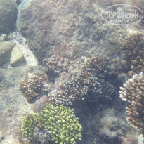 фото из отзыва ID 1918347