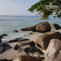 фото из отзыва ID 1919337