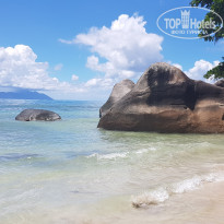 фото из отзыва ID 1919337