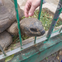 фото из отзыва ID 1919337