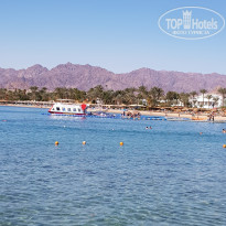 фото из отзыва ID 1919377