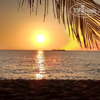 фото из отзыва ID 1919413