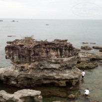 фото из отзыва ID 1919413