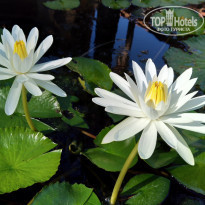 фото из отзыва ID 1919425