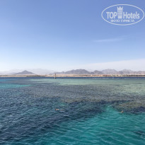 фото из отзыва ID 1919508