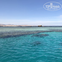 фото из отзыва ID 1919508