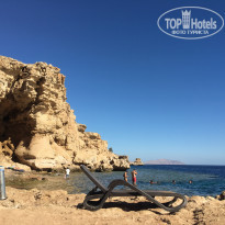 фото из отзыва ID 1919508