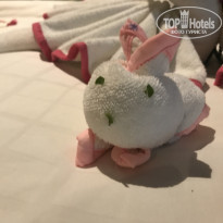 фото из отзыва ID 1919562