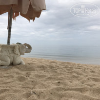 фото из отзыва ID 1919562