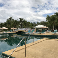 фото из отзыва ID 1919562