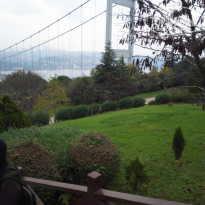 фото из отзыва ID 1919668