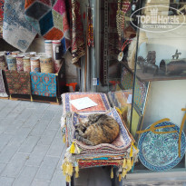 фото из отзыва ID 1919668