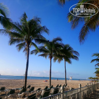 фото из отзыва ID 1919694