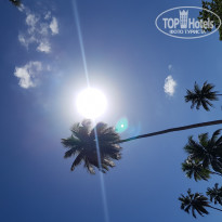 фото из отзыва ID 1919728