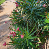 фото из отзыва ID 1919830