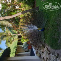 фото из отзыва ID 1919830