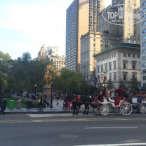 фото из отзыва ID 1919947