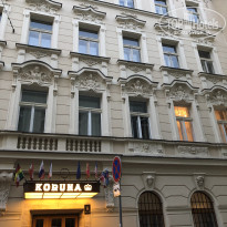 фото из отзыва ID 1911670