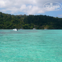 фото из отзыва ID 1915515