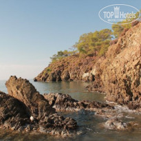 фото из отзыва ID 1918731