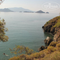 фото из отзыва ID 1918731