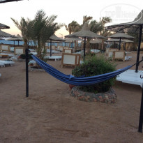 фото из отзыва ID 1916957