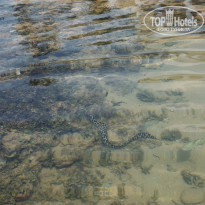 фото из отзыва ID 1915700