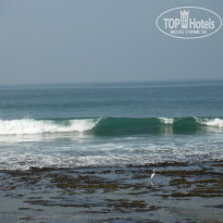 фото из отзыва ID 1915700