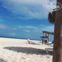 фото из отзыва ID 1911958