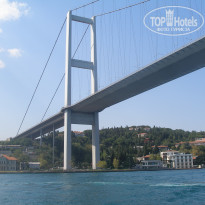 фото из отзыва ID 1919130