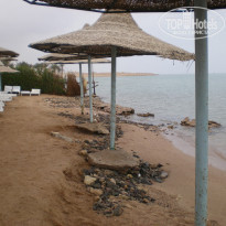 фото из отзыва ID 192078