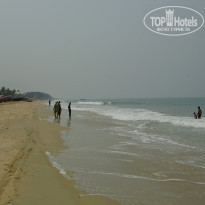 фото из отзыва ID 192509