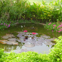 фото из отзыва ID 192509