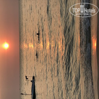 фото из отзыва ID 1920006