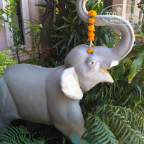 фото из отзыва ID 1920043