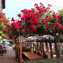 фото из отзыва ID 1920081