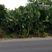 фото из отзыва ID 1920044