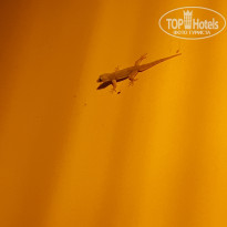 фото из отзыва ID 1920235