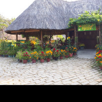 фото из отзыва ID 1920235