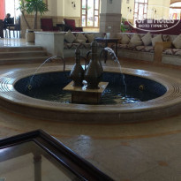 фото из отзыва ID 1920313