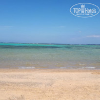 фото из отзыва ID 1920313